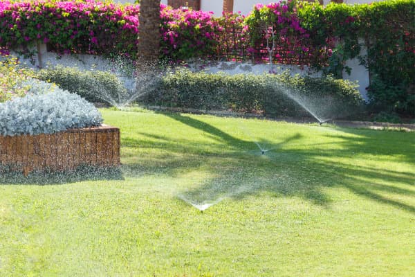 Melbourne Landscape Gardening gardening work in South Yarra