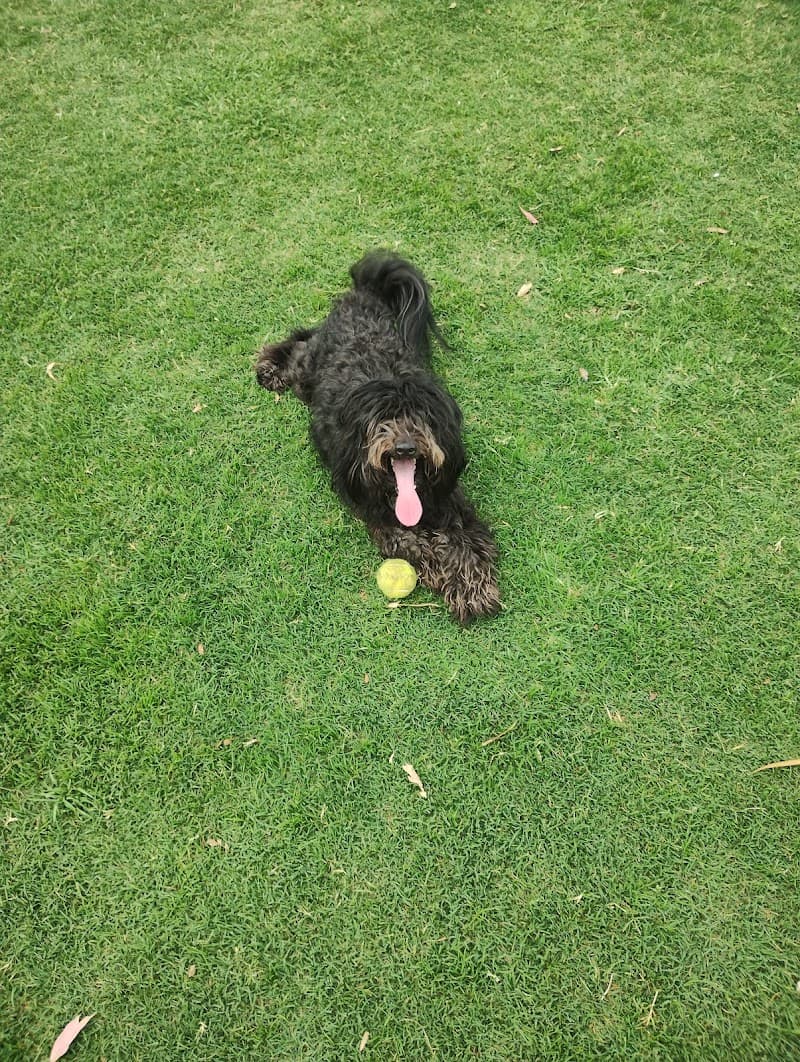 MELBOURNE LAWN MOWING & Gardening Services gardening work in Maribyrnong