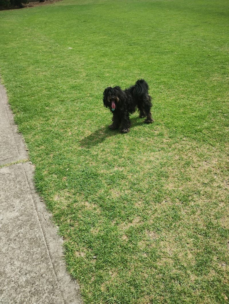 MELBOURNE LAWN MOWING & Gardening Services gardening work in Maribyrnong
