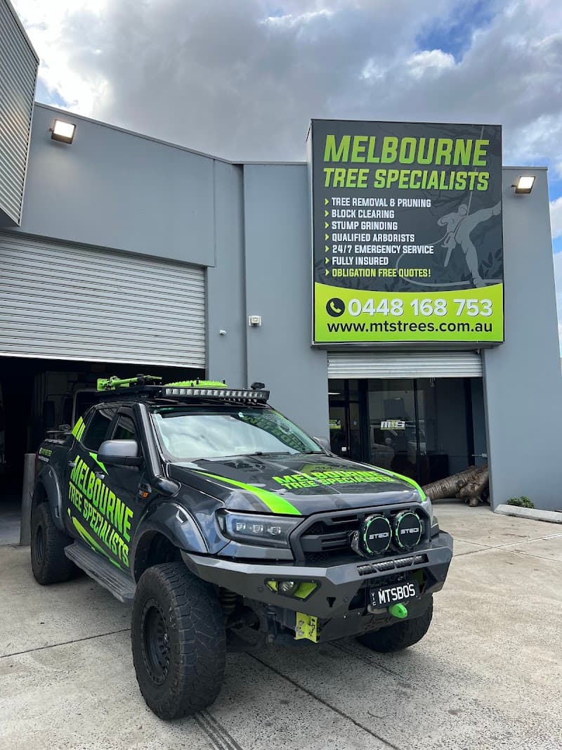 Melbourne Tree Specialists Pty. Ltd. tree services work in Narre Warren