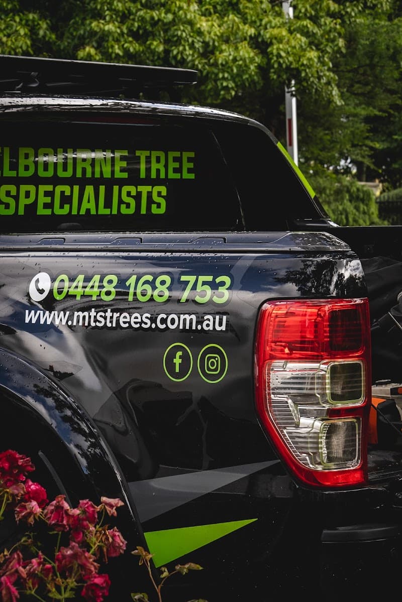Melbourne Tree Specialists Pty. Ltd. tree services work in Narre Warren