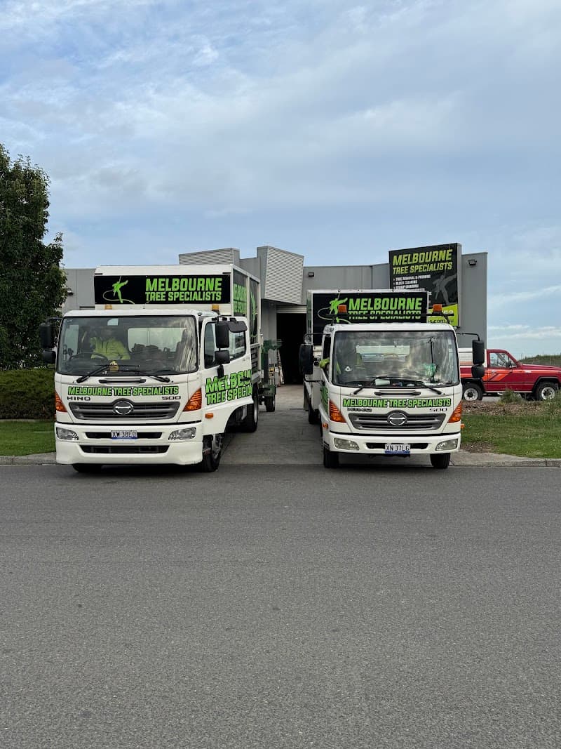 Melbourne Tree Specialists Pty. Ltd. tree services work in Narre Warren