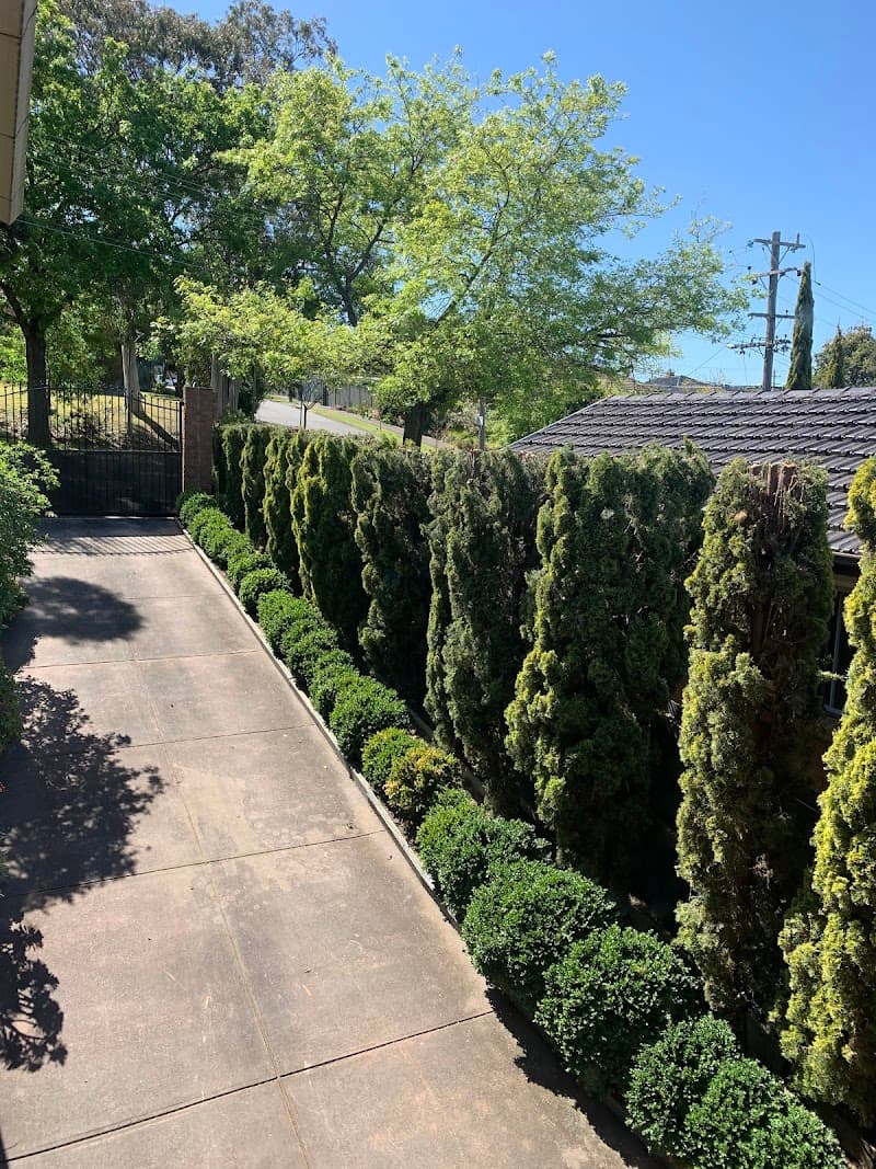 Melbourne Tree Specialists Pty. Ltd. tree services work in Narre Warren
