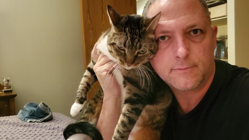 Meow Mates pet sitting & house sitting work in Stafford