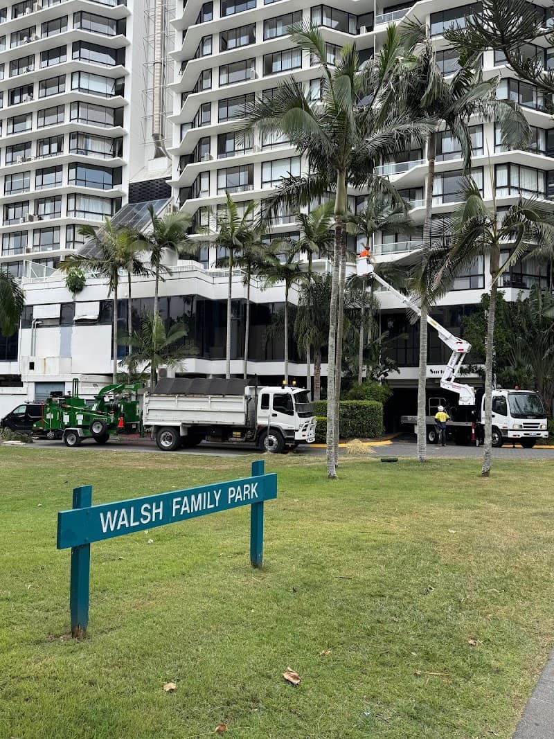 Mick Brewer Tree Services tree services work in Molendinar