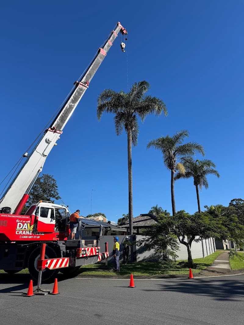 Mick Brewer Tree Services tree services work in Molendinar