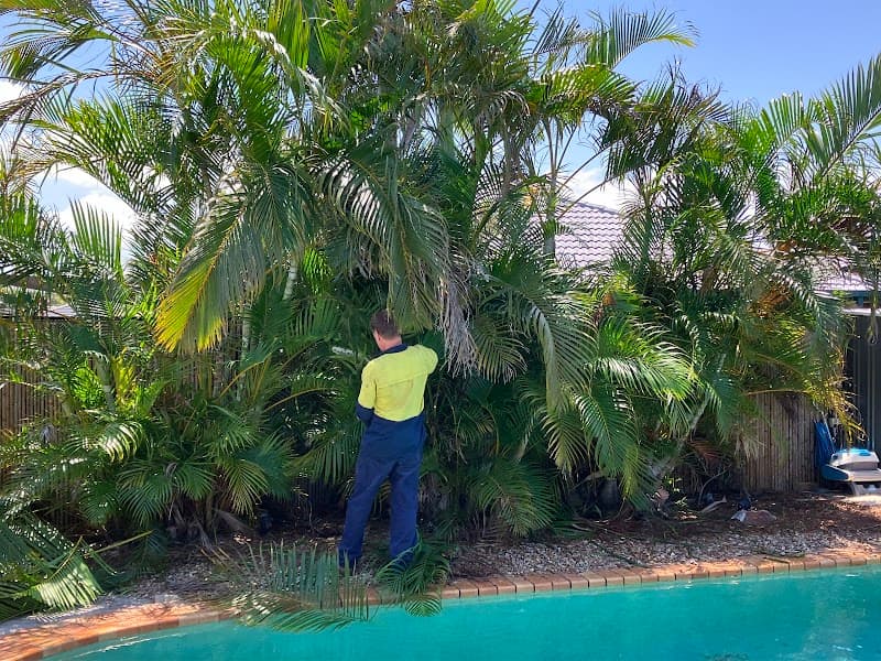 Mick Brewer Tree Services tree services work in Molendinar