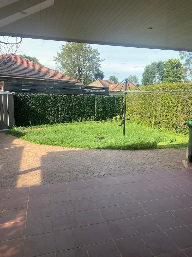 Midas Mowing lawn care work in Drummoyne