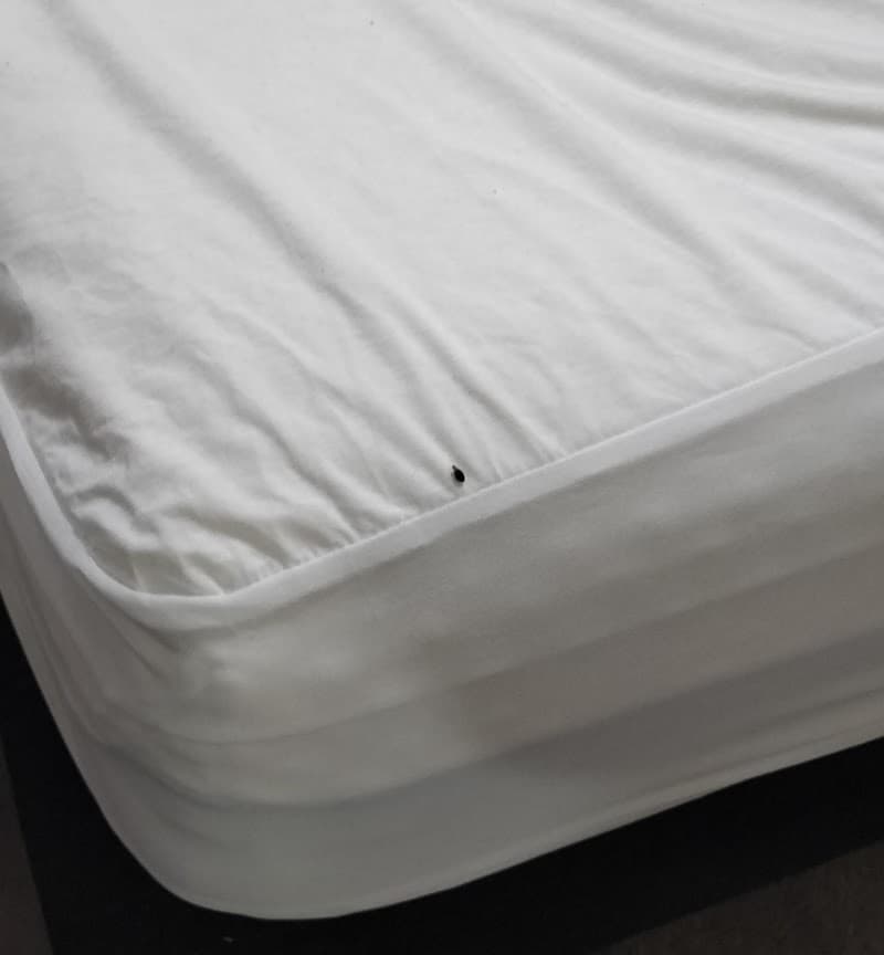 Middleton Pest Control pest control work in Woodvale