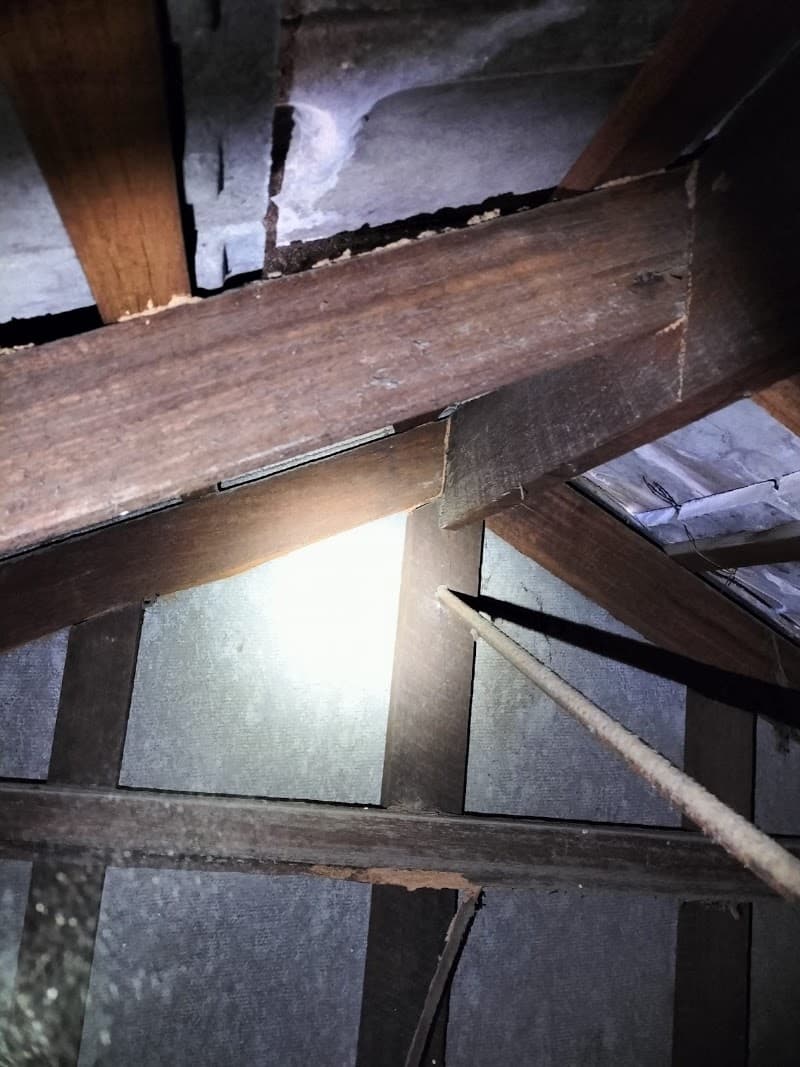 Middleton Pest Control pest control work in Woodvale