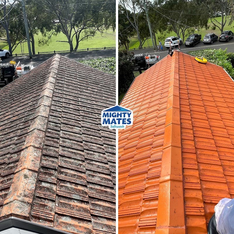 Mighty Mates Softwash pressure washing work in Freshwater