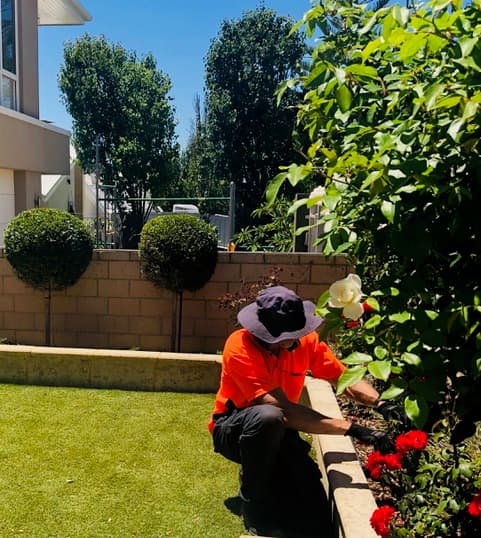 Millar Gardens gardening work in Ocean Reef