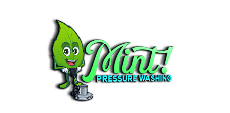 Mint! Pressure Washing pressure washing work in Seaford