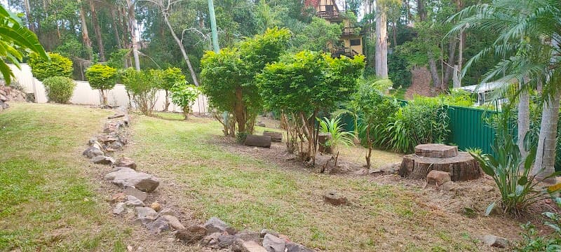 Mint Tree Services tree services work in Miami