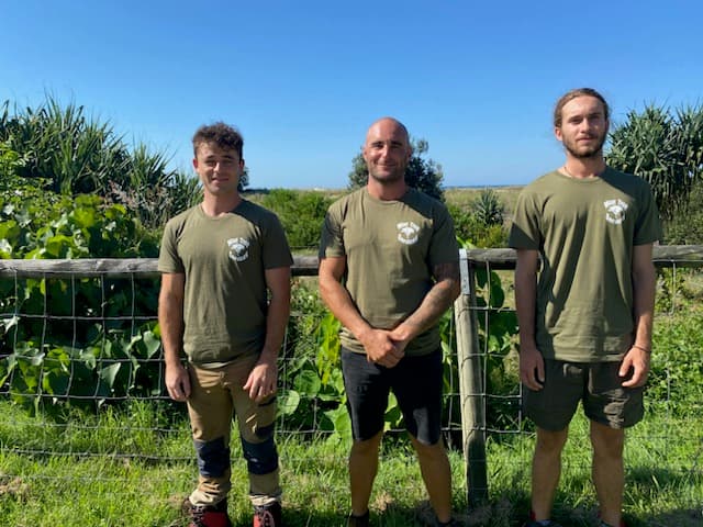 Mint Tree Services tree services work in Miami