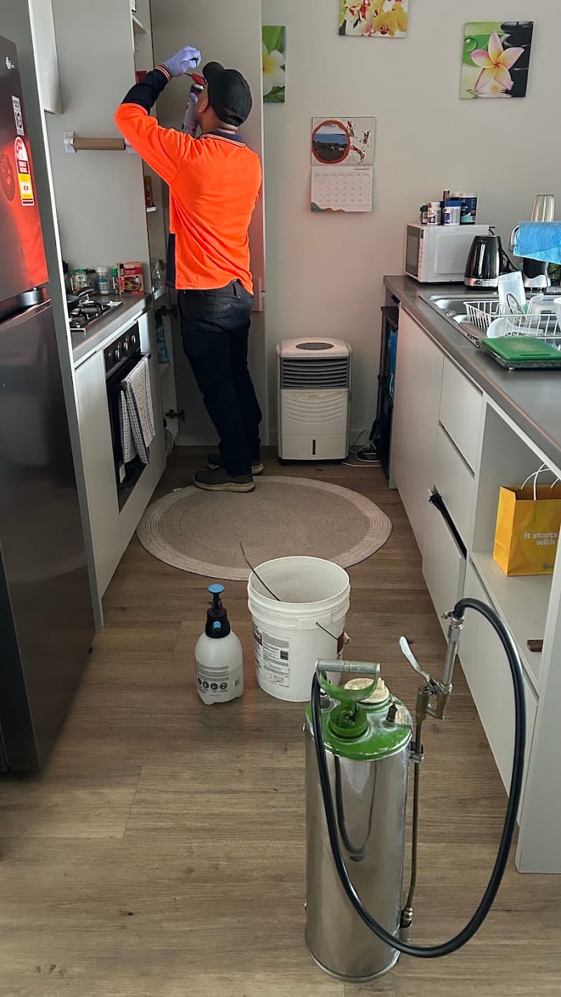MJ Pest Management pest control work in Sans Souci
