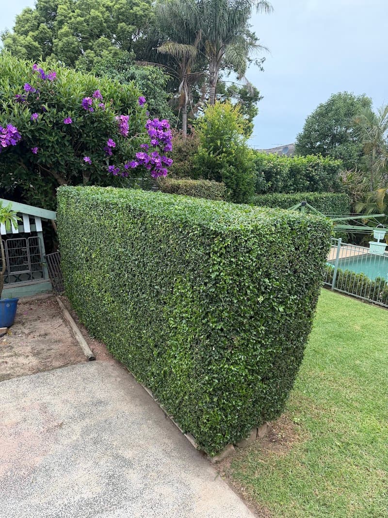 MK gardening services gardening work in Parramatta