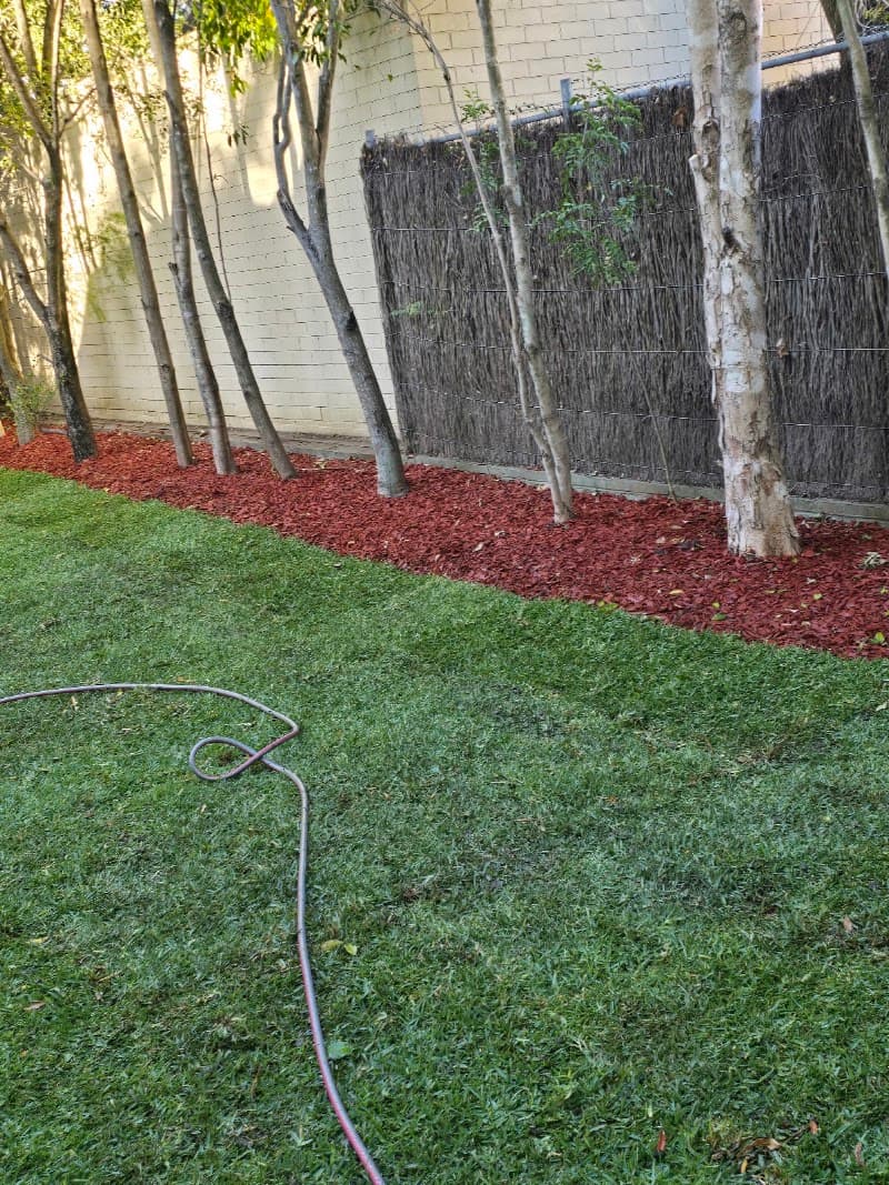 MK gardening services gardening work in Parramatta