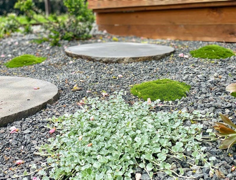 MK Gardens landscaping work in Mount Pleasant