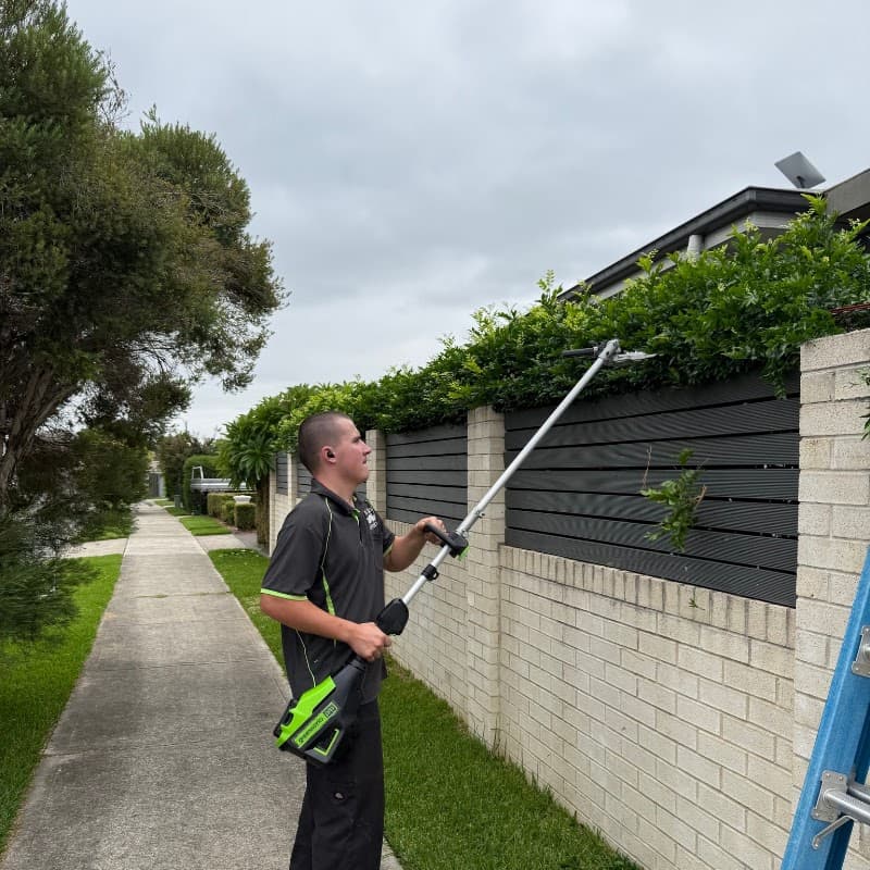 Mo Man Mowing gardening work in Penrith