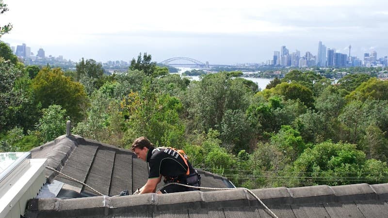 Mobile Gutters gutter cleaning work in Paddington