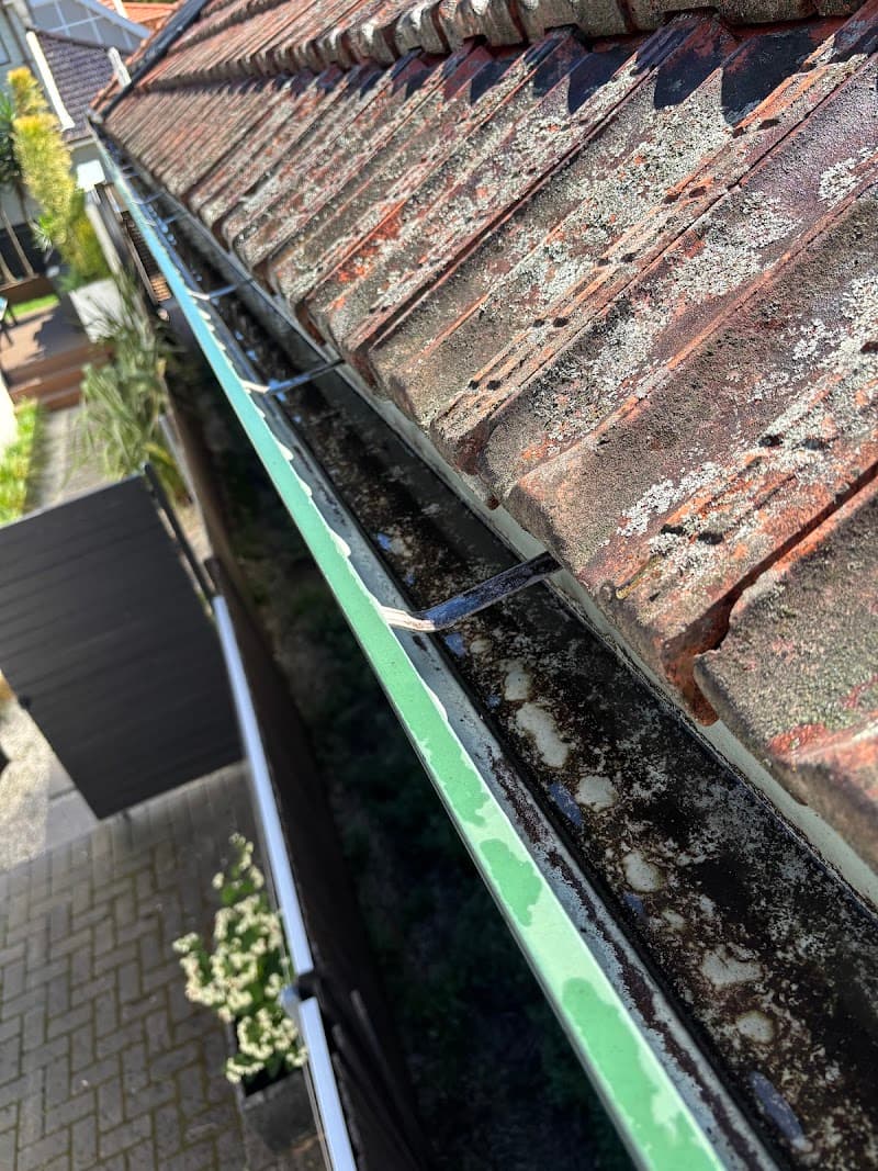 Mobile Gutters gutter cleaning work in Paddington