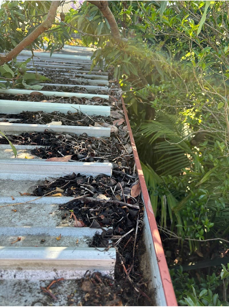 Mobile Gutters gutter cleaning work in Paddington