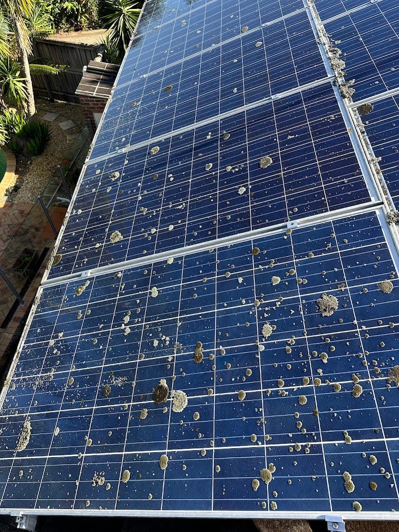 Mobile Gutters gutter cleaning work in Paddington