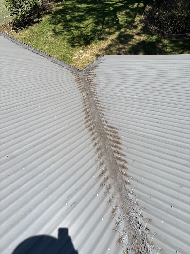 Mobile Gutters gutter cleaning work in Paddington