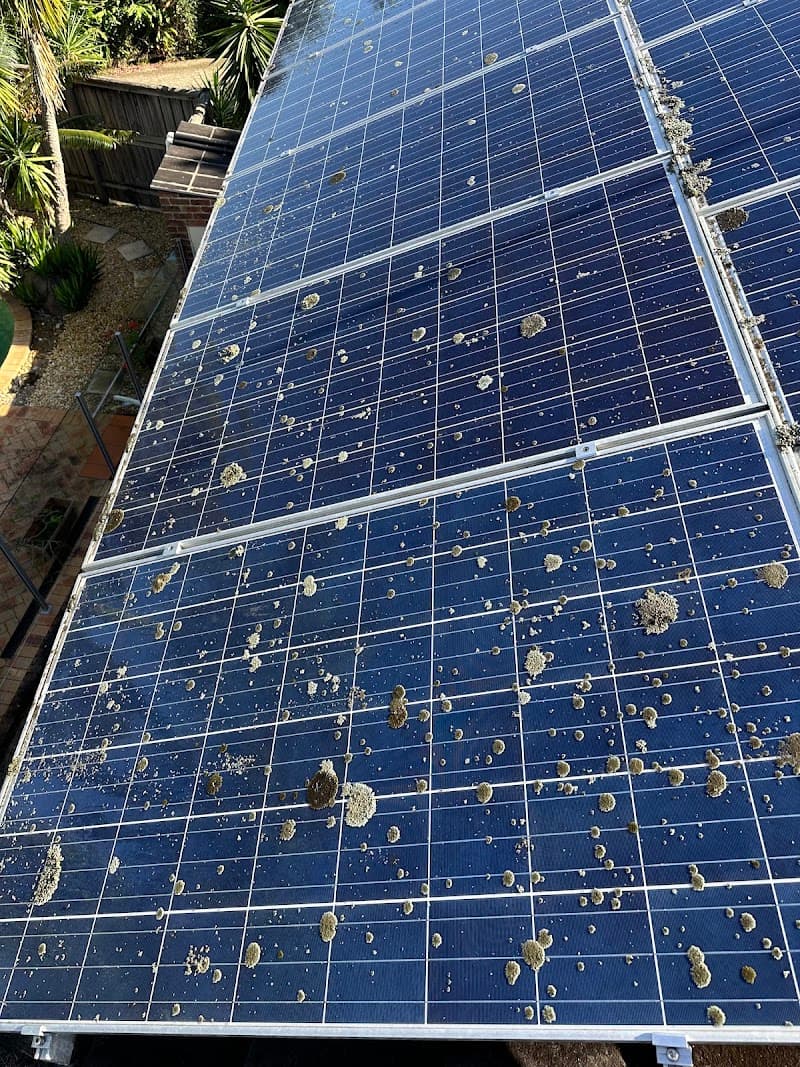 Mobile Gutters gutter cleaning work in Paddington