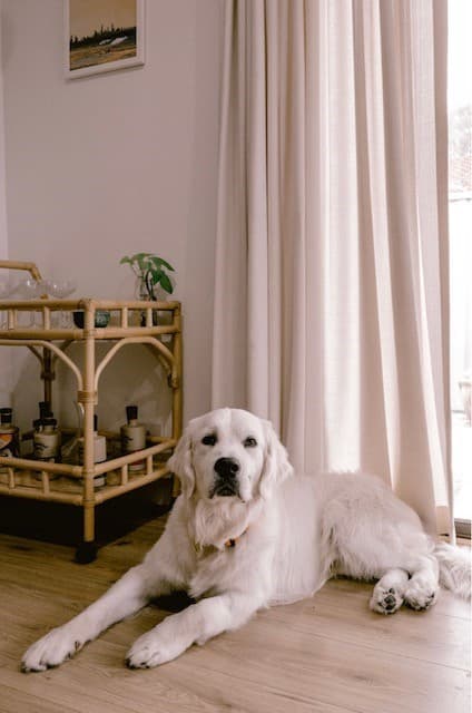 Modern Blinds curtains & blinds work in Southport