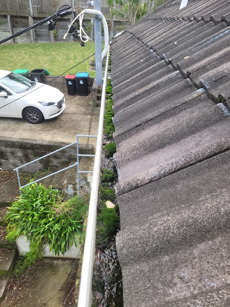 Monkeys Roofing - Northern Beaches roofing work in Collaroy Plateau