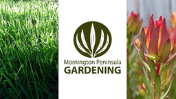 Mornington Peninsula Gardening