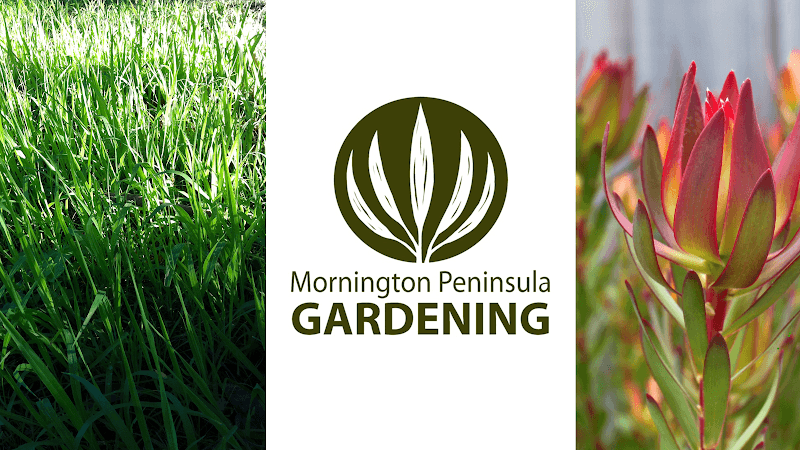 Mornington Peninsula Gardening gardening work in Mornington