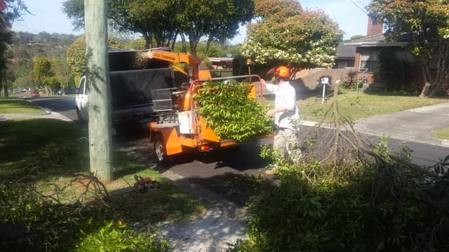 Mornington Peninsula Gardening gardening work in Mornington