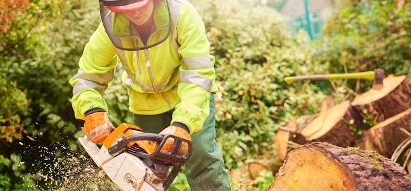 Mornington Peninsula Tree Removal Service tree services work in Mount Martha