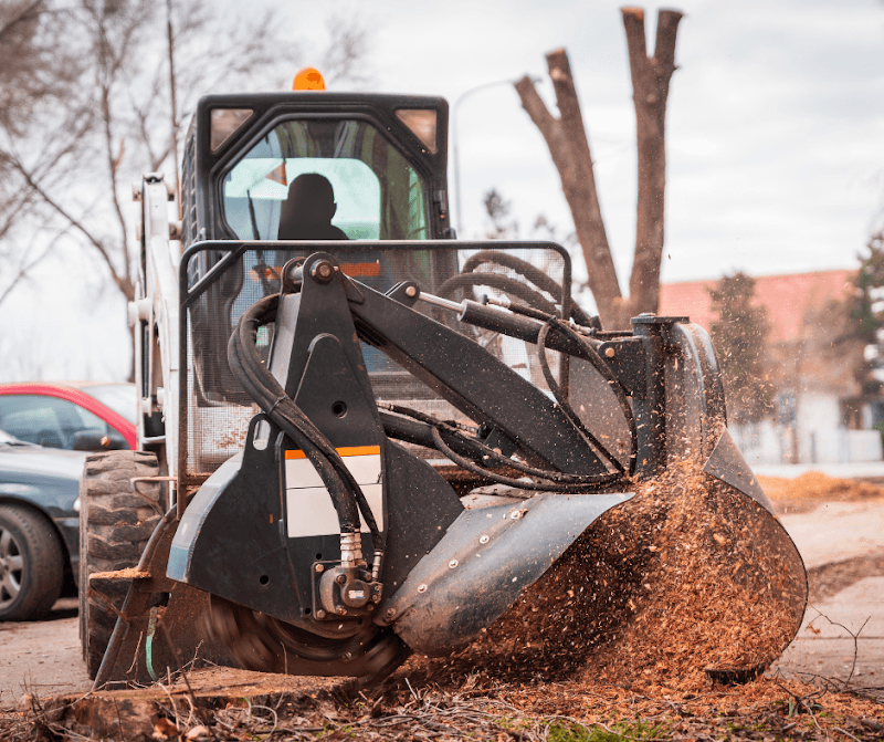 Mornington Peninsula Tree Removal Service tree services work in Mount Martha