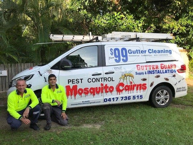 Mosquito Cairns gutter cleaning work in Trinity Park