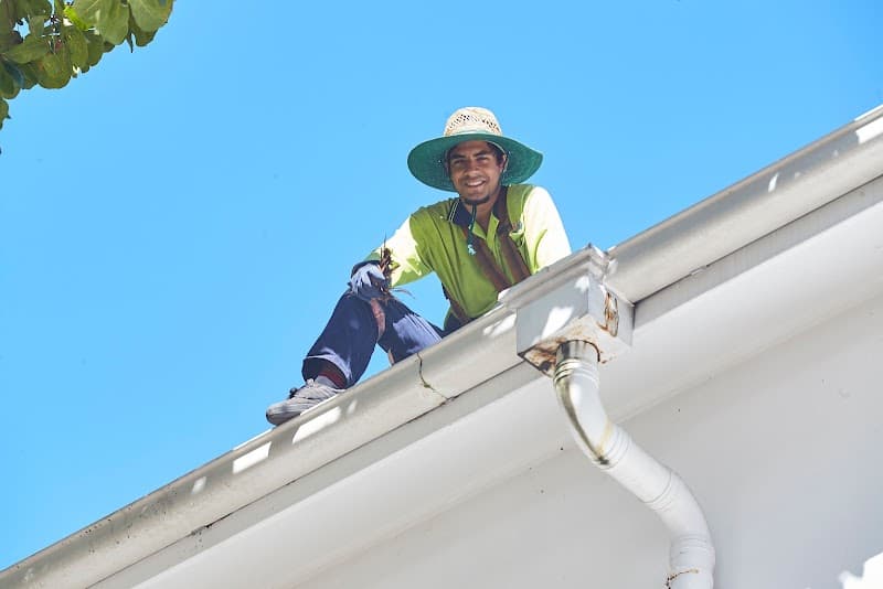 Mosquito Cairns gutter cleaning work in Trinity Park