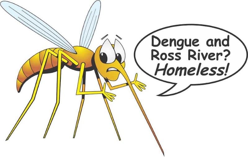 Mosquito Cairns gutter cleaning work in Trinity Park