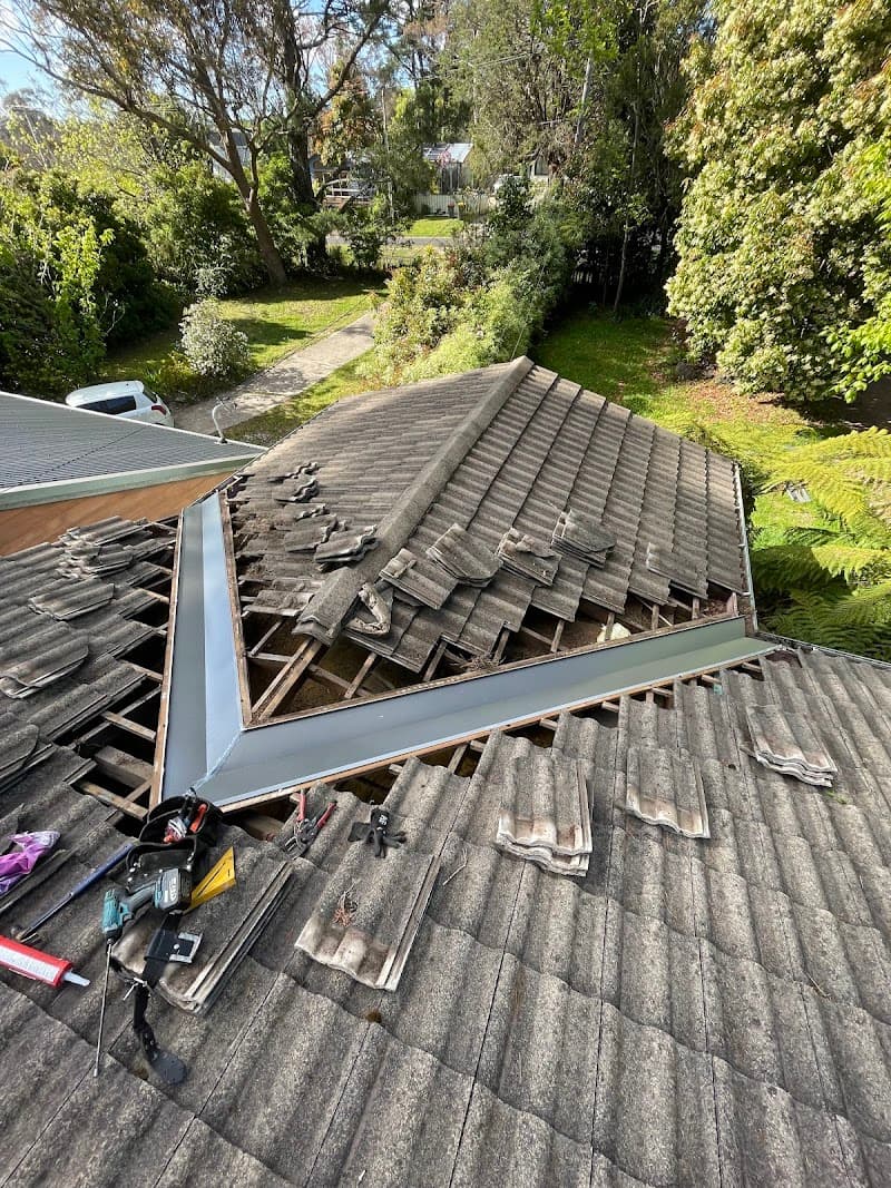 Mountain Roof and Gutter gutter cleaning work in Mona Vale