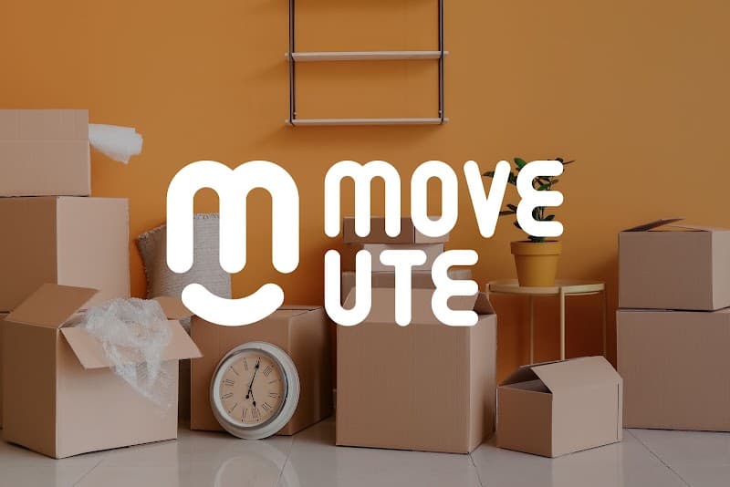 Move Ute removalist work in Harristown