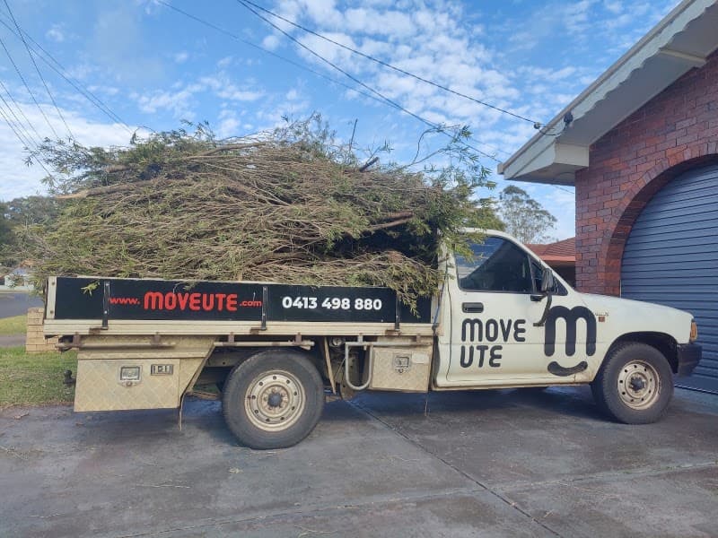 Move Ute removalist work in Harristown