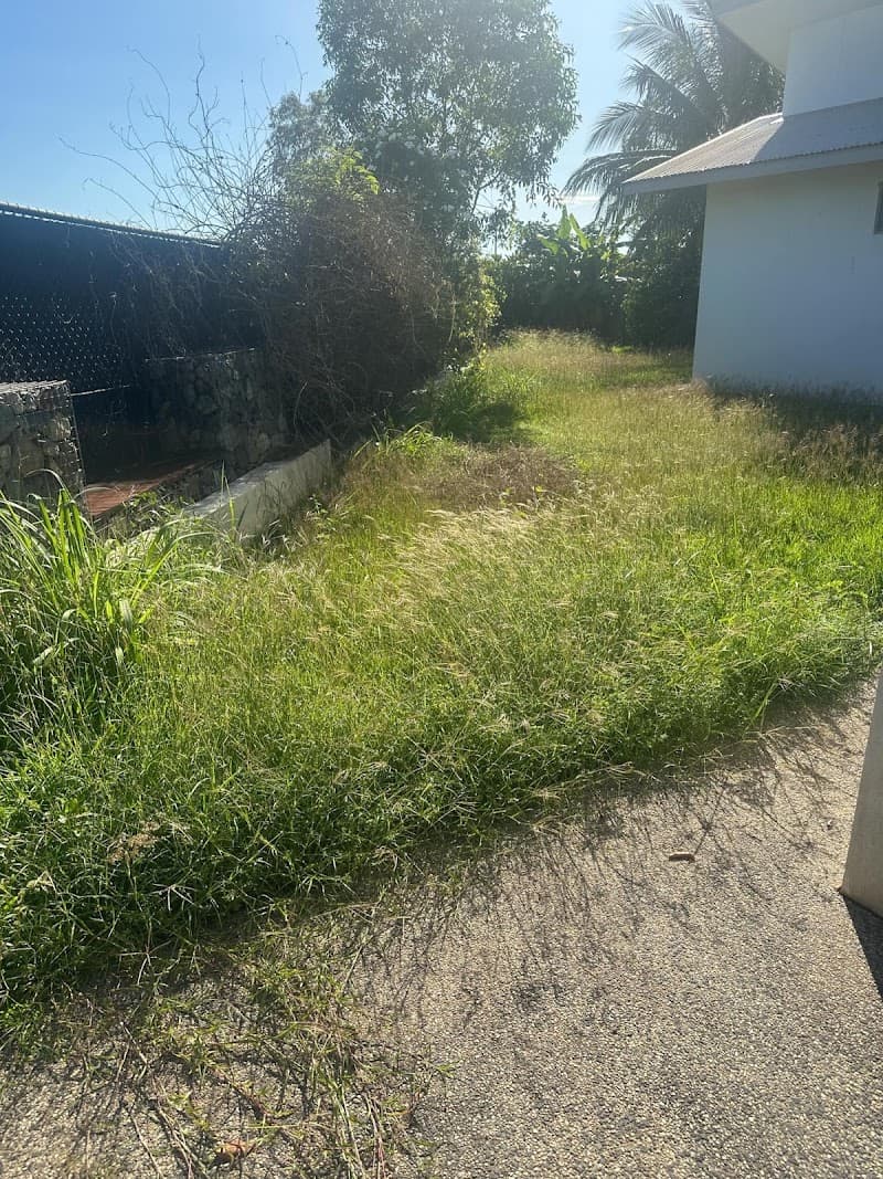 Mow810 lawn care work in Lyons