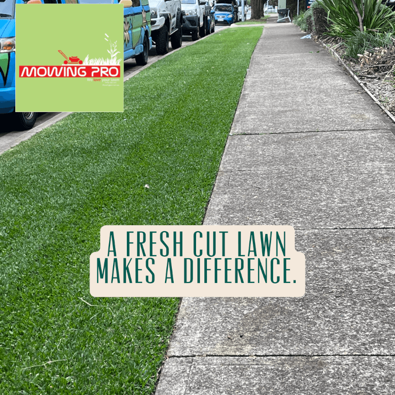 MOWING PRO lawn care work in Miranda