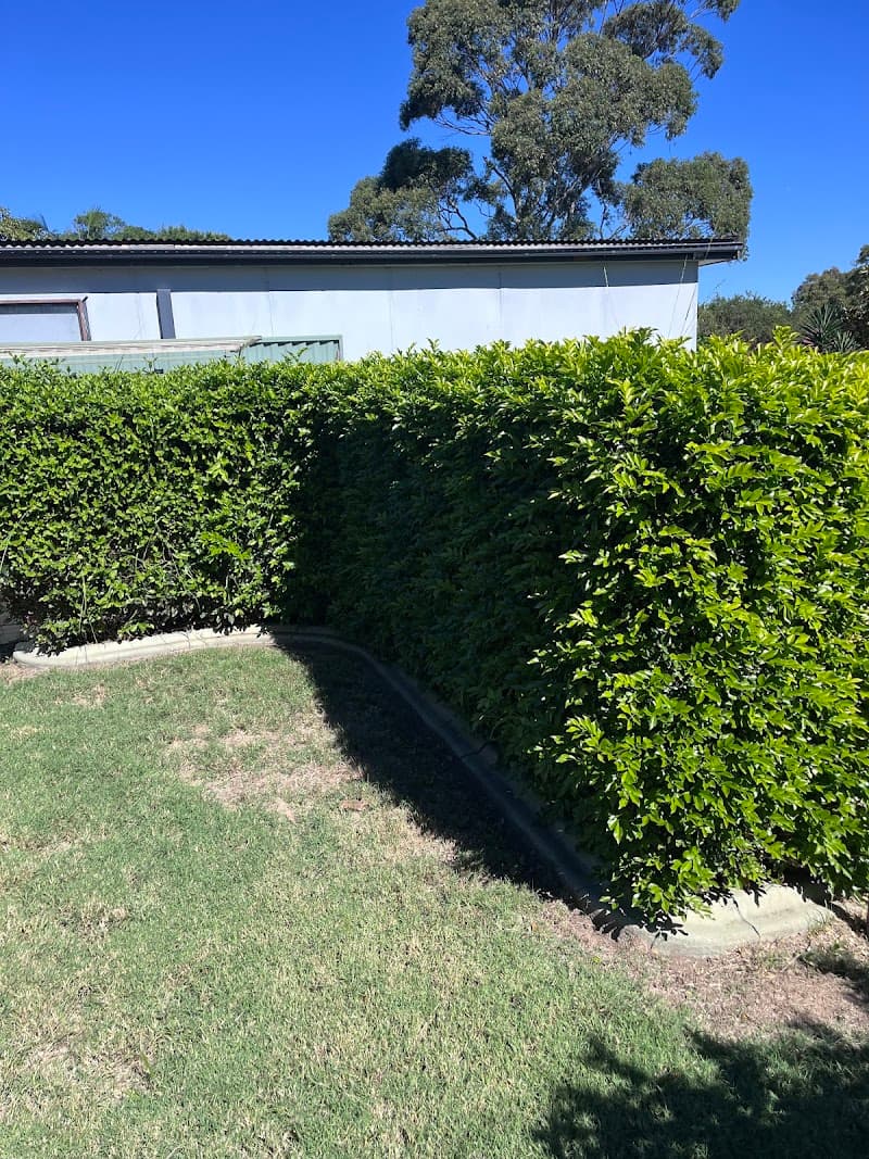 MOWING PRO lawn care work in Miranda