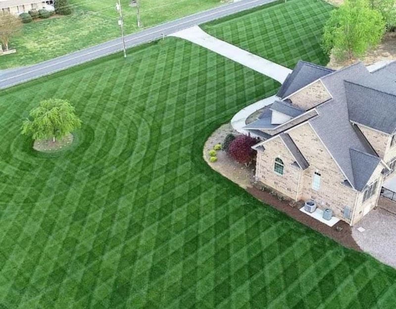 MowPro Landscapes lawn care work in Burleigh Heads