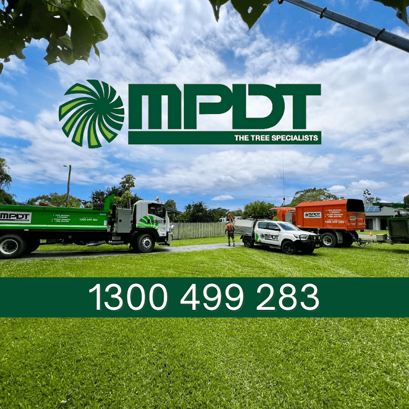 MPDT - The Tree Specialist tree services work in White Rock