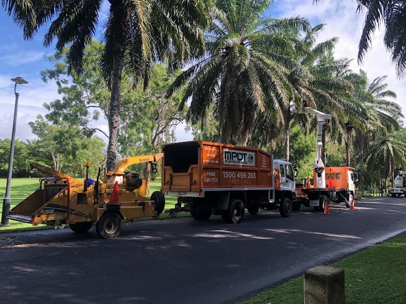 MPDT - The Tree Specialist tree services work in White Rock