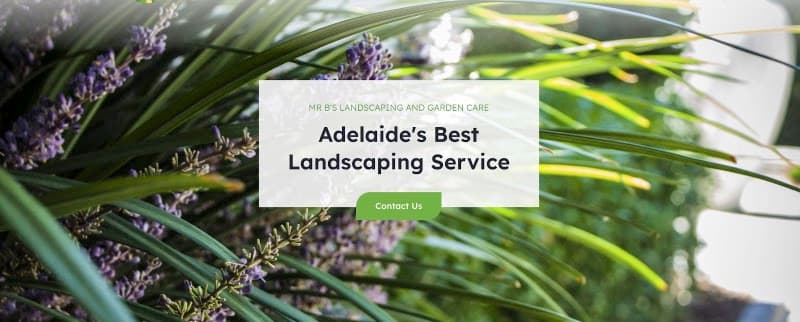 Mr B's Landscaping and Garden Care gardening work in Adelaide